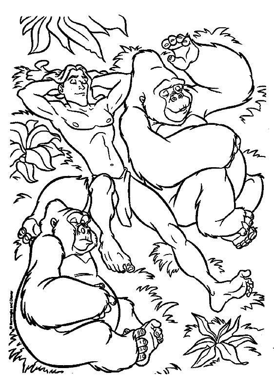 Tarzan-09.gif