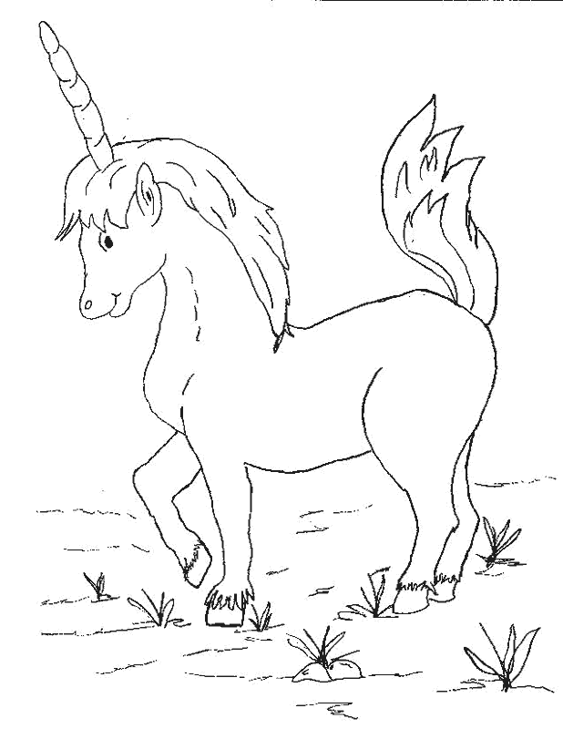 Unicornio-03.gif