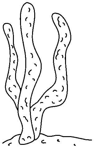 Algas-02.gif
