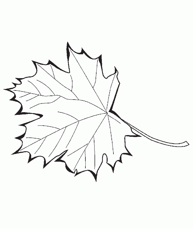 Hojas-22.gif