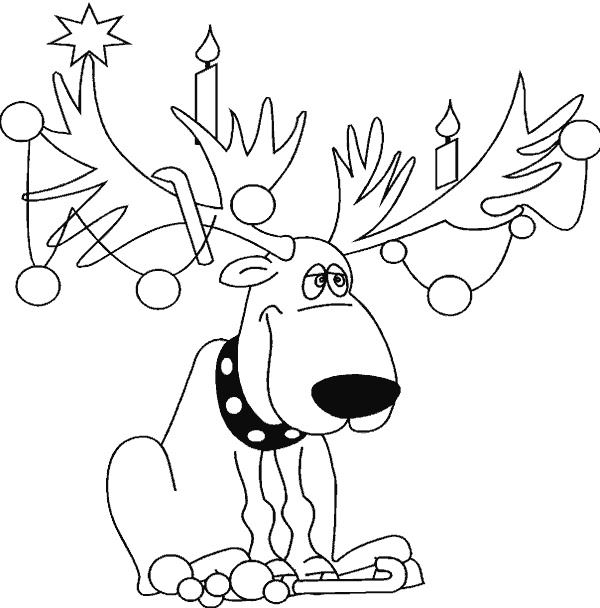 Animal-Navidad-11.gif