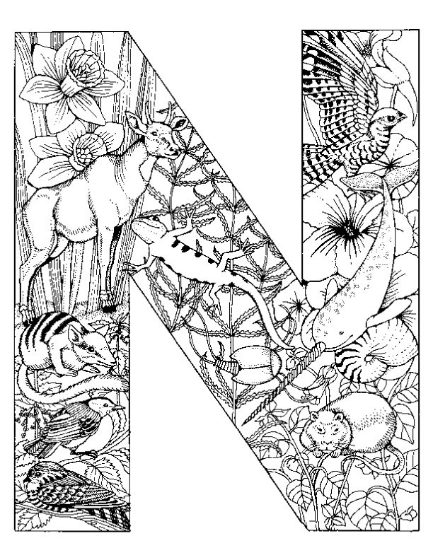 Letras-con-animales-14.jpg