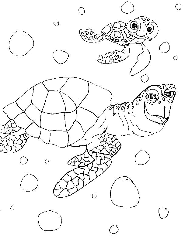 Buscando-a-Nemo-01.gif
