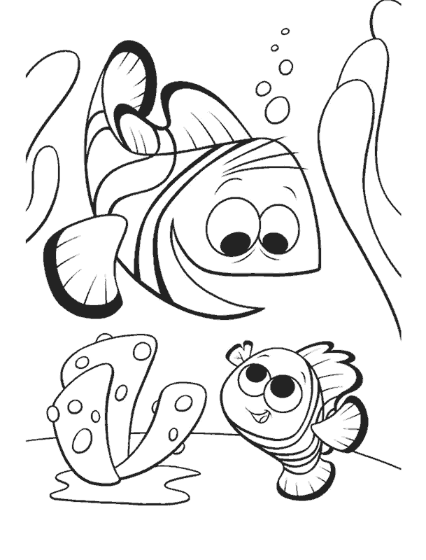 Buscando-a-Nemo-03.gif