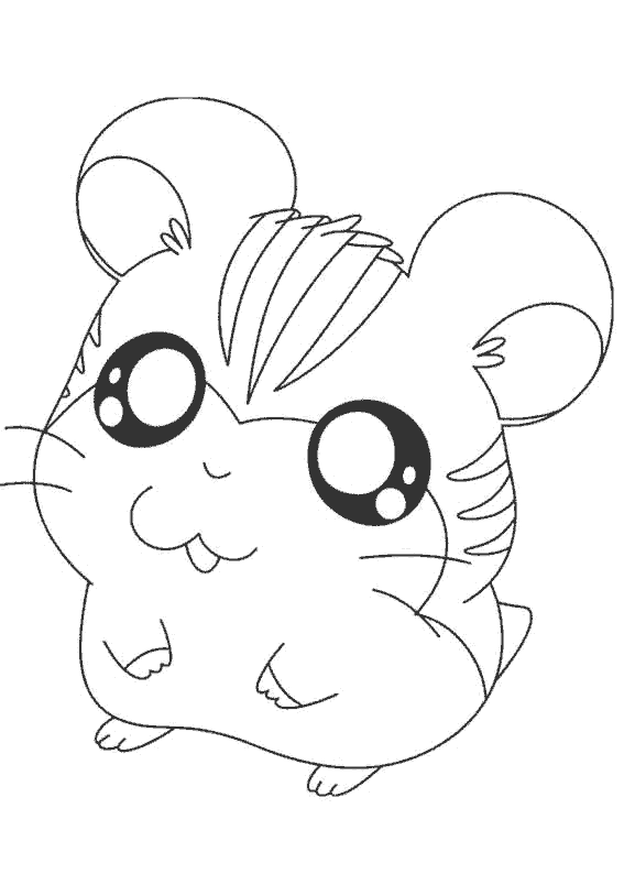Hamtaro-10.gif