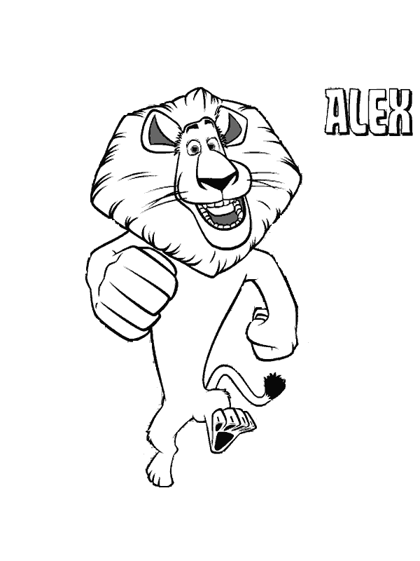 Madagascar-08.gif