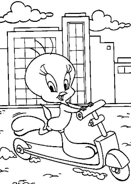 Piolin-Silvestre-20.gif
