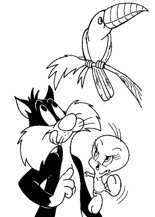 Piolin-Silvestre-21.gif