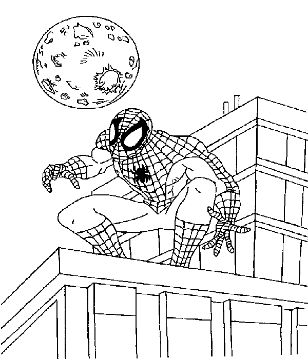 Spiderman-06.gif