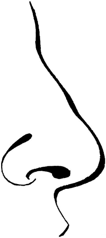 Partes-del-cuerpo-02.gif