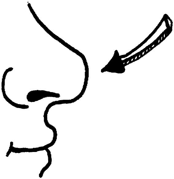 Partes-del-cuerpo-03.gif