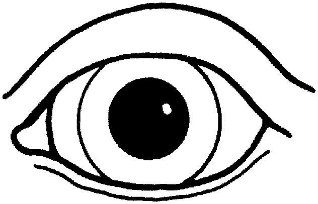Partes-del-cuerpo-07.gif