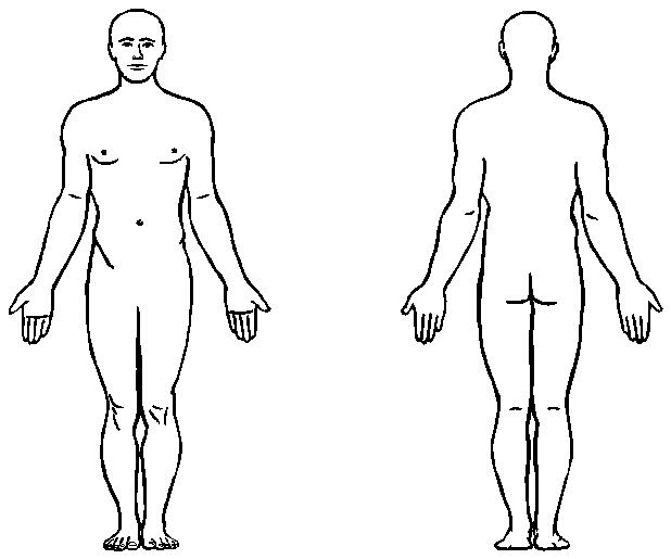 Partes-del-cuerpo-08.gif