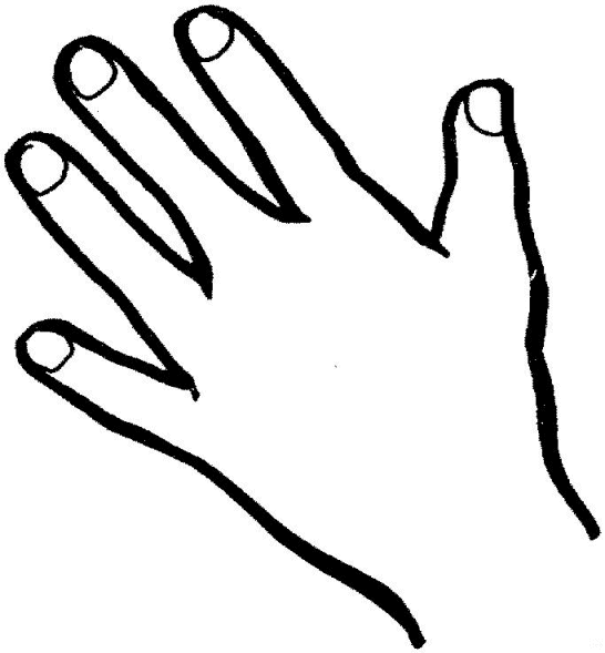 Partes-del-cuerpo-10.gif