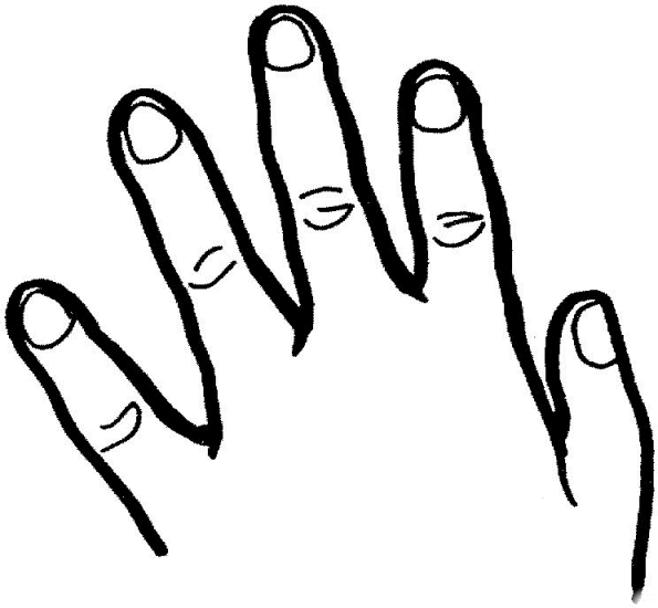 Partes-del-cuerpo-13.gif