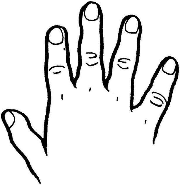 Partes-del-cuerpo-14.gif