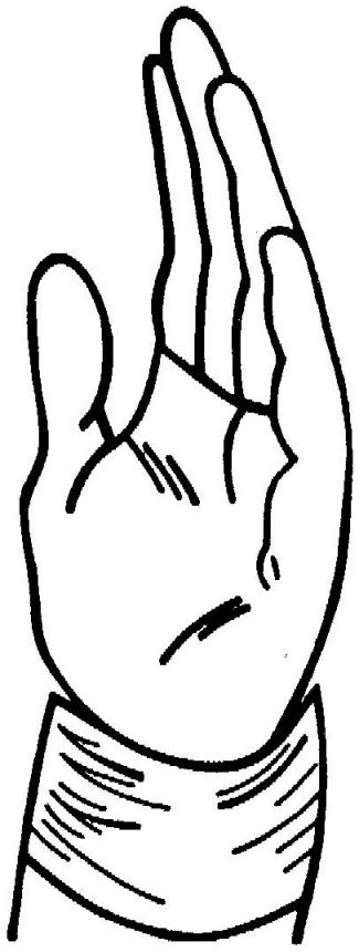 Partes-del-cuerpo-18.gif
