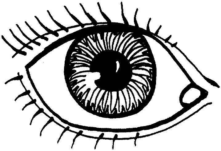 Partes-del-cuerpo-19.gif