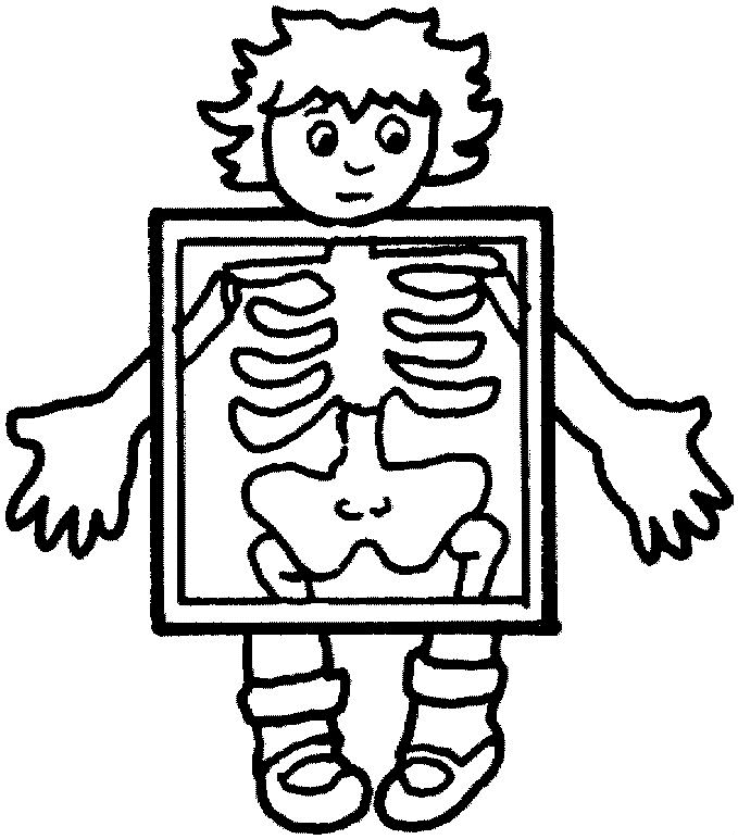 Partes-del-cuerpo-21.gif