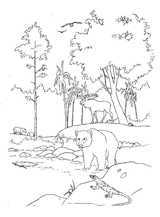 Historias-de-la-Biblia-03.gif