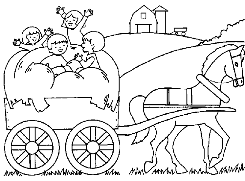 transporte-animal-01.gif