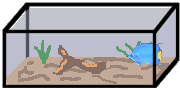 Acuario-01.gif