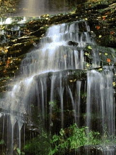 Catarata-03.gif