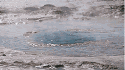 Geiser-03.gif