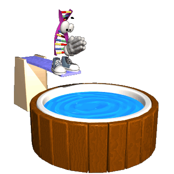 Piscina-02.gif