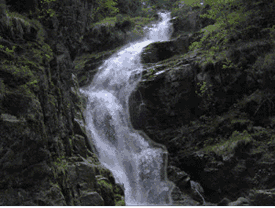 Rio-04.gif