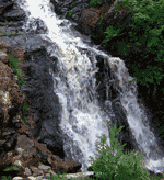 Rio-06.gif