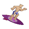 Surf-01.gif