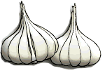 Ajos-04.gif
