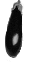 Berenjena-06.gif
