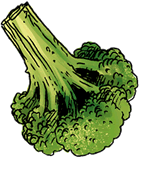 Brocoli-06.gif