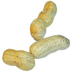 Cacahuete-02.gif