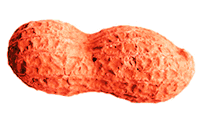 Cacahuete-04.gif