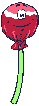 Caramelo-04.gif