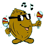Cocos-05.gif