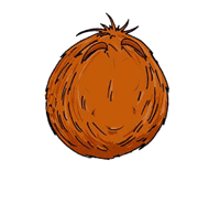 Cocos-06.gif