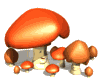 Hongos-05.gif