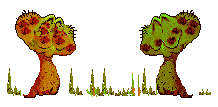 Hongos-11.gif