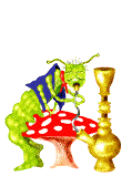 Hongos-15.gif