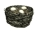 Huevos-12.gif