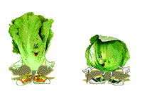 Lechugas-01.gif