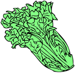 Lechugas-05.gif