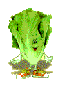 Lechugas-06.gif