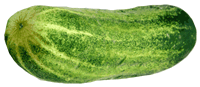 Pepinos-04.gif