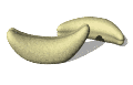 Platanos-19.gif