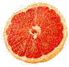 Pomelos-03.gif